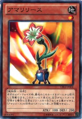 [CBLZ]ޥ꡼(Ρޥ)CBLZ-JP004