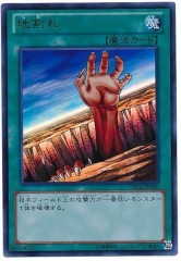 [DS14-M]�ϳ��(����ȥ�쥢)DS14-JPM20