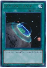 [DS14-M]�ƥ鎥�ե����ߥ�(����ȥ�쥢)DS14-JPM24