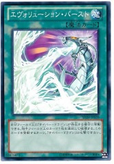 [SD26]塼󎥥С(Ρޥ)SD26-JP020