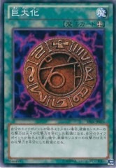 [SD26]粽(Ρޥ)SD26-JP024