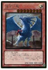 [GDB1]ۤζ(ɥ쥢)GDB1-JP029