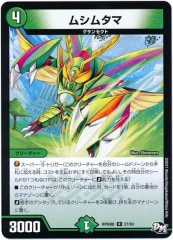 デュエルマスターズ モモダチパワー‼︎! 51vvgWivtdL._AC_SY200_QL15_.jpg