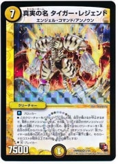 [DMR-08]¤̾ 쥸(٥꡼쥢)2/55