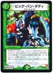 [DMR-08]ӥåѥ󡦥ǥ(쥢)18/55