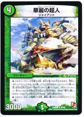 [DMR-08]Ķ(쥢)20/55