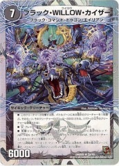 [DMX-05]֥åWILLOWۥGOLDENɥ饴(쥢)2a/16