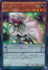 PREMIUM PACK 19 - 遊戯王カード/YuGiOhTCG トレカ通販