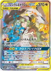 SM11b]レシラム＆ゼクロムGX【HR】071/049 | ポケモンカード