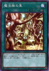 ナチュル・ビースト DTC1-JP082 デュエルターミナルシークレット ナチュル・ビースト DTC1-JP082 デュエルターミナルシークレット