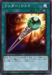 [SD39]������������(�Ρ��ޥ�)SD39-JP024