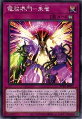 遊戯王 - 遊戯王　電脳堺媛　瑞々　ルゥルゥ　プリズマ　シク メルカリ便 遊戯王 電脳堺媛 瑞々 ルゥルゥ プリズマティック