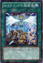 [DT14]åɤĶ(Ρޥ)DT14-JP045