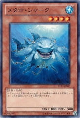 [EXP3]᥿ܡ㡼(Ρޥ)EXP3-JP027