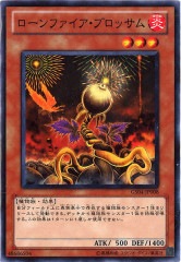 [GS04]ե֥å(Ρޥ)GS04-JP008