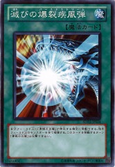 [SD22]ǤӤ(Ρޥ)SD22-JP024