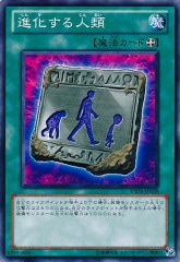 [YSD5]ʲ(Ρޥ)YSD5-JP028