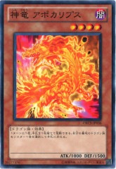 [ORCS]ε ݥץ(Ρޥ)ORCS-JP036