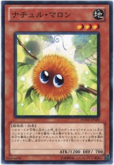 [PHSW]ʥ롦ޥ(Ρޥ)PHSW-JP029