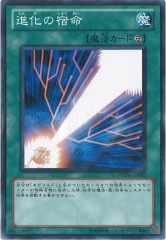 [PHSW]ʲν̿(Ρޥ)PHSW-JP053