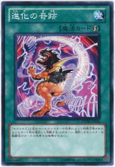 [PHSW]ʲδ(Ρޥ)PHSW-JP054