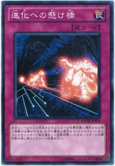 [PHSW]ʲؤη(Ρޥ)PHSW-JP071