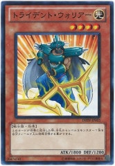 [DREV]ȥ饤ǥȡꥢ(ѡ쥢)DREV-JP015