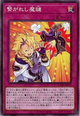 [DAMA]�Ҥ��줷�⸰(�Ρ��ޥ�)DAMA-JP072