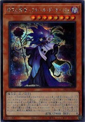 [DP25]֤θԡݥե롼롦ɡ(åȥ쥢)DP25-JP020