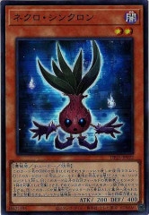 [DP25]ͥ󥯥(ѡ쥢)DP25-JP022