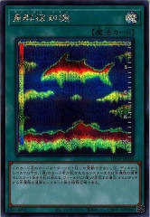 [DP26]����õ�ε�(��������åȥ쥢)DP26-JP020