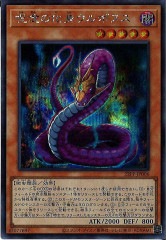 [22PP]ǰβȥܥ̥(å)22PP-JP006