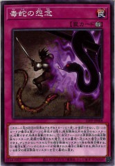 [22PP]Ǽؤαǰ(Ρޥ)22PP-JP008