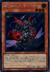 [WPP3]ȡХ(åȥ쥢)WPP3-JP001