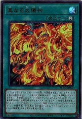 [WPP3]ʤۿ(ȥ쥢)WPP3-JP052