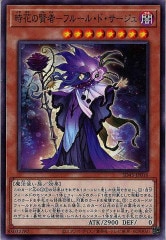 [SD45]֤θԡݥե롼롦ɡ(Ρޥ)SD45-JP016