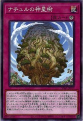 [SD45]ʥο(Ρޥ)SD45-JP037