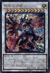 [CYAC]ŵ(åȥ쥢)CYAC-JP042