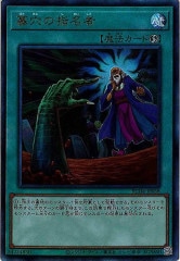 DTC2]セイクリッド・プレアデス(シークレットレア)DTC2-JP112 | 遊戯王