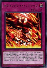 [DP28]ޥ󥰥쥤ȡ(쥢)DP28-JP007