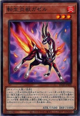 [DP28]žå(Ρޥ)DP28-JP008