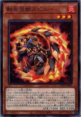 [DP28]žåԥˡ(Ρޥ)DP28-JP009