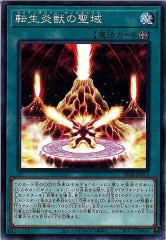 [DP28]žä(Ρޥ)DP28-JP013