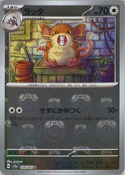 【ALL PSA10】ポケカ コラッタ ラッタ マスターボール 2連番 ALL PSA10】ポケカ コラッタ ラッタ マスターボール 2連番