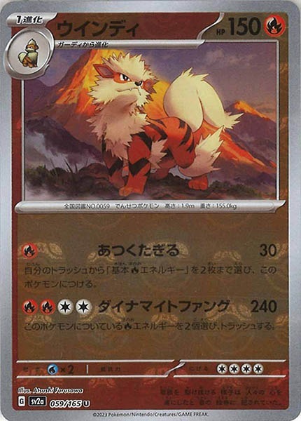 ガーディ ウィンディ マスターボールミラー