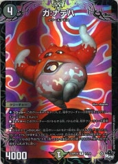 [DM23-RP2X]:ʥƥϡʥۥù(쥢)17/74