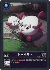 [EX-05]㥪ʥѥˡUEX5-006(ۥ)