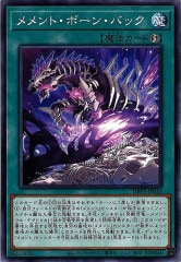 [DBVS]ȡܡ󡦥Хå(Ρޥ)DBVS-JP010