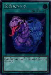 [WPP4]���ߤʥ��ĥ�(��������åȥ쥢)WPP4-JP059