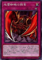 [WPP4]��������α¿�(�Ρ��ޥ�)WPP4-JP010